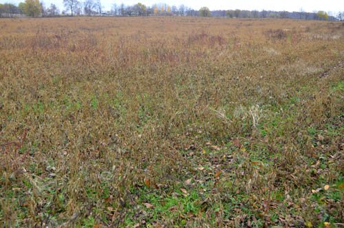 Property photo 10 - 80 Acres & Home - Property Offered in 4 Tracts from 2.3 to 30.0 Acres